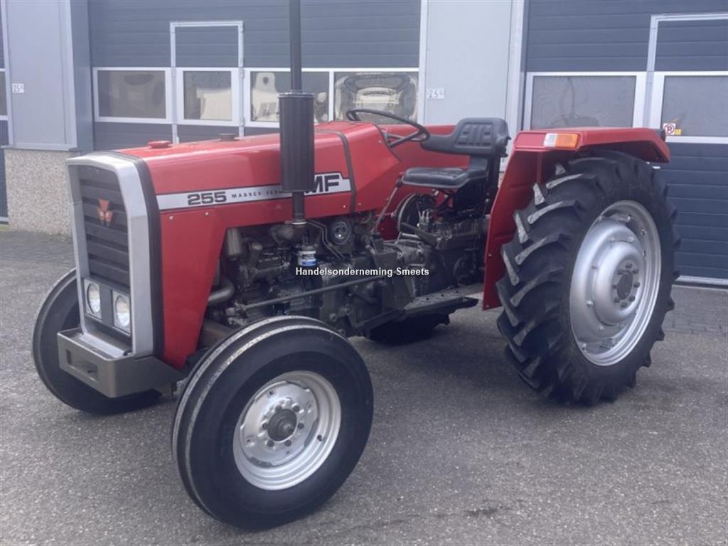 MF 255 - Massey Ferguson